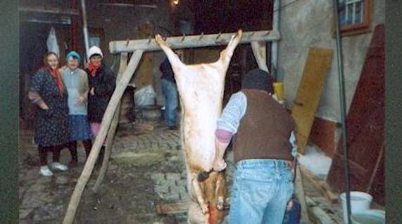 Dr Meister beim Transchiere un ach beim kunschtatiere ob des Schwein ach gut gfiedert is gin