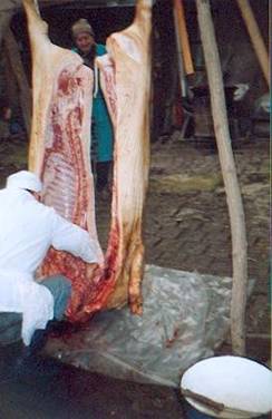 Dr Meister beim Transchiere un ach beim kunschtatiere ob des Schwein ach gut gfiedert is gin